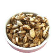 2801_Pet_barley