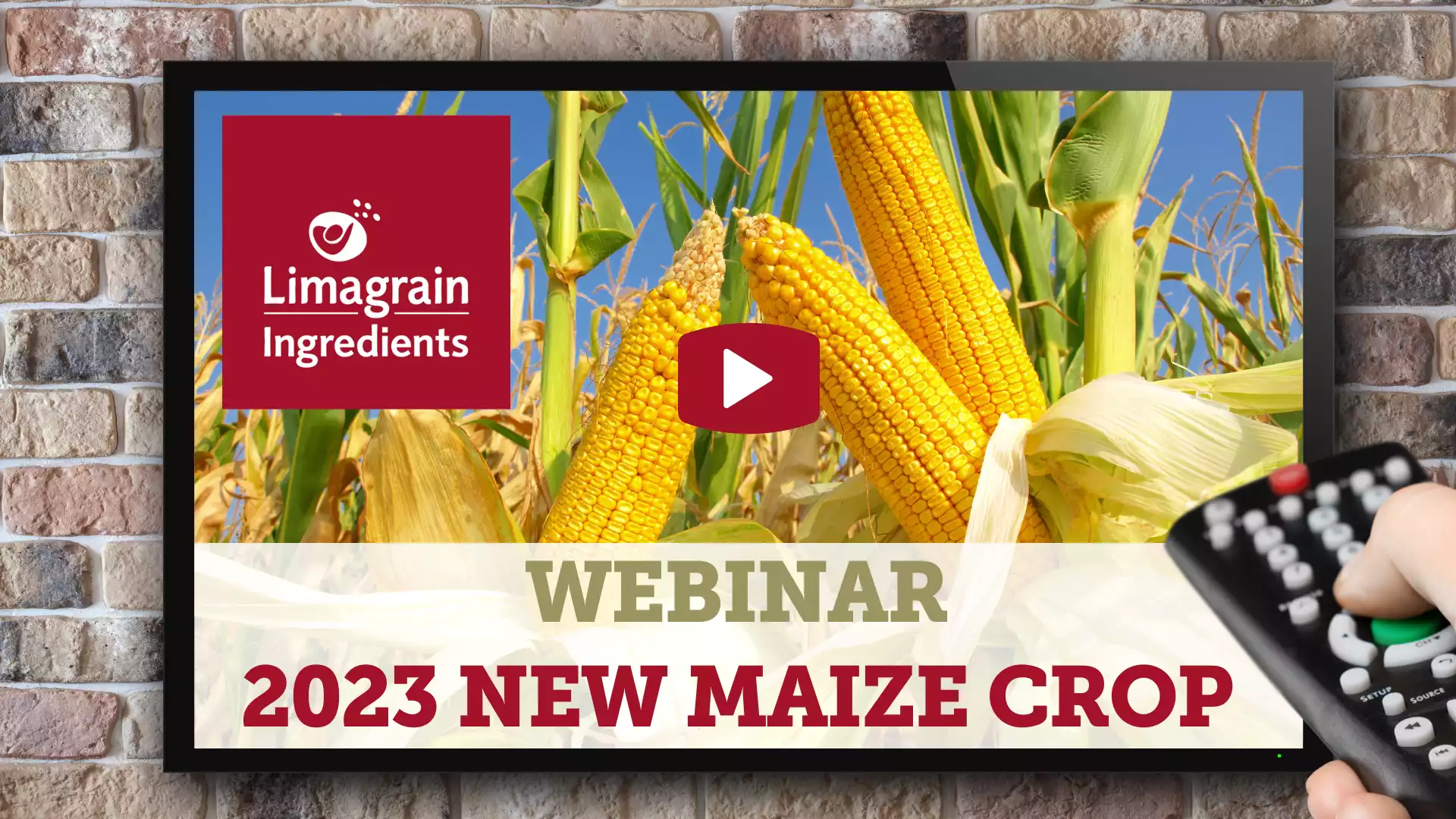 2023 new maize crop - webinar replay (1)-min