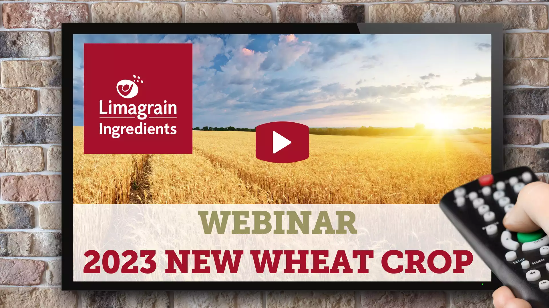 2023-new-wheat-crop-webinar-replay_1-min
