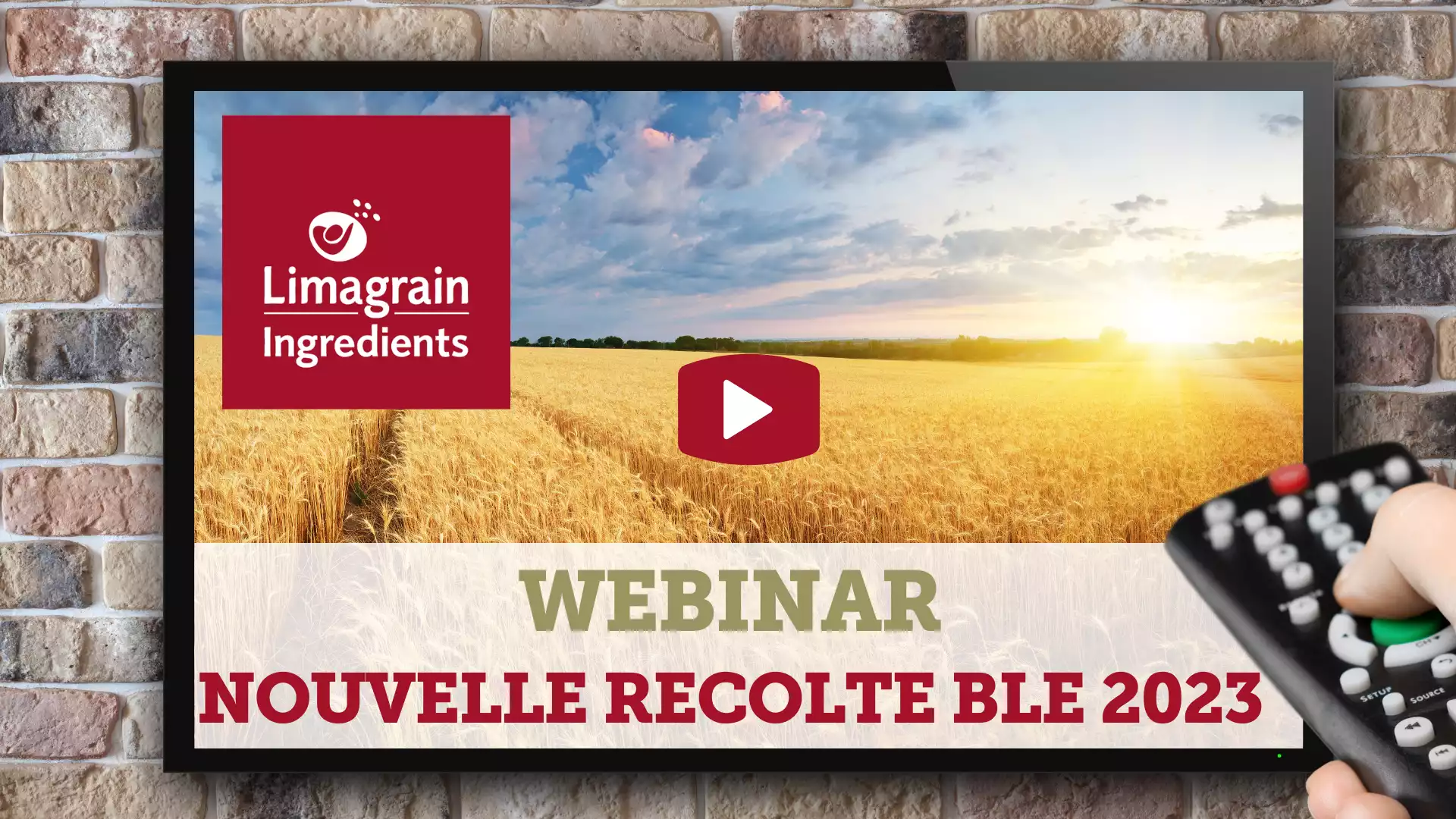 2023-nouvelle-récolte-blé-webinar-replay-min