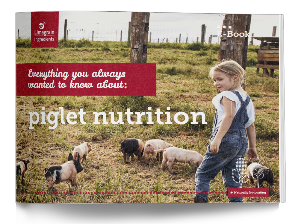 2209_ebook_piglet nutrition_EN_mockup