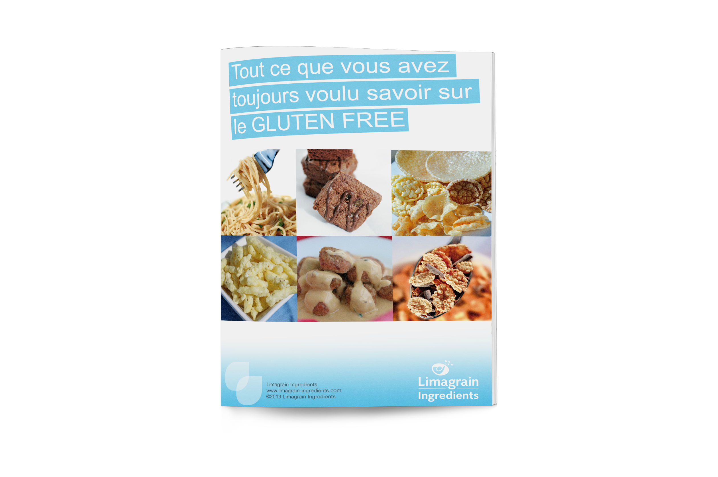 2906_ebook_gluten_free_mockup_FR_ressources
