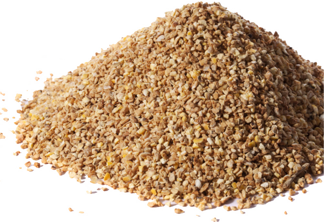nutricorn
