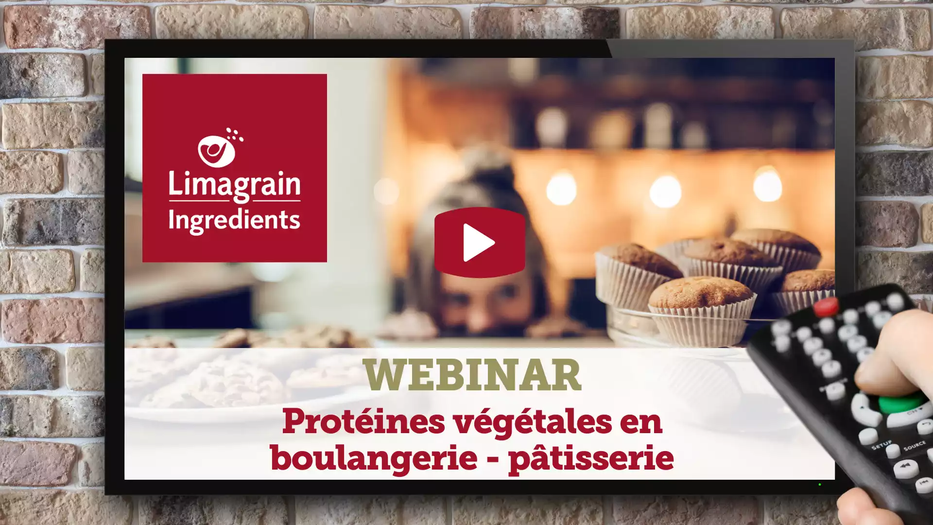 Plant based proteins Bakery FR - webinar replay-min