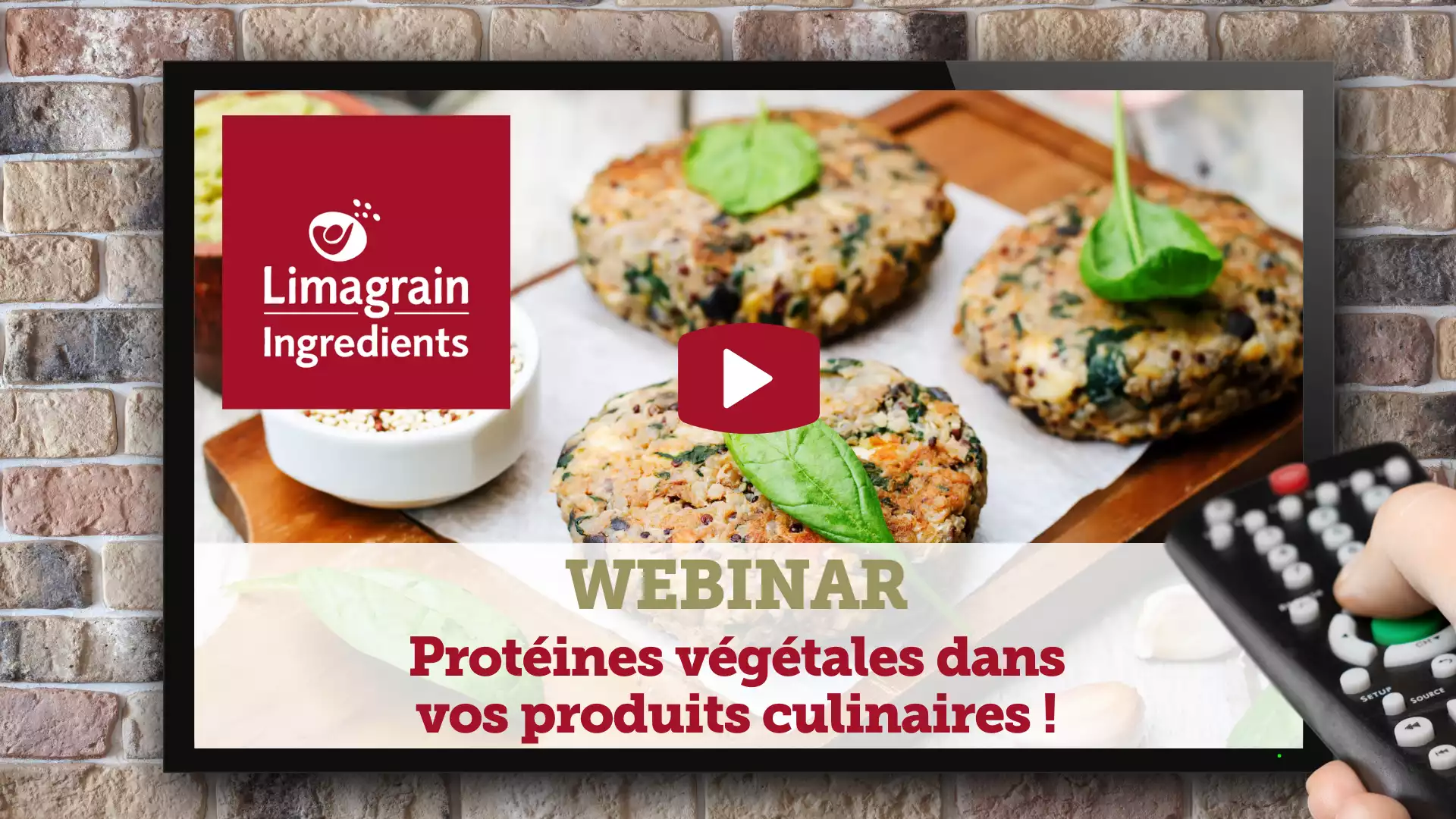 Plant based proteins Culinary FR - webinar replay-min