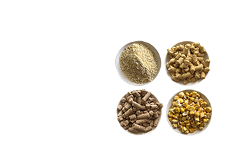 Puffed_grains_alimentation_animale