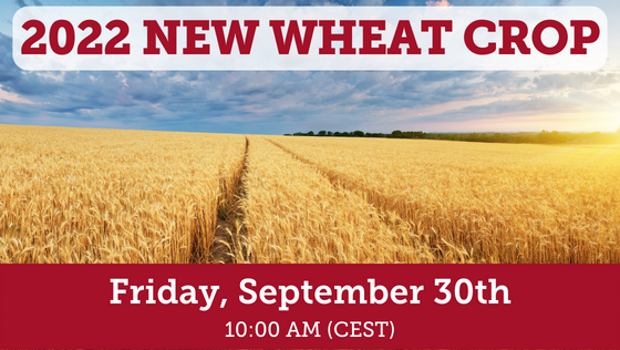 Webinar New Wheat Crop 2022 EN