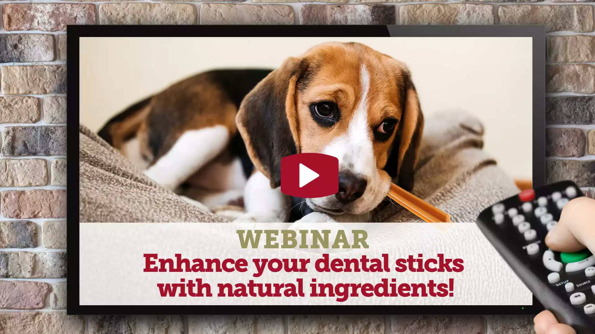 Webinar replay dental sticks (1)-min